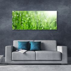 tulup.si Slika na akrilnem steklu Narava grass drops 125x50 cm 4 obešalnika