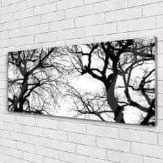 tulup.si Slika na akrilnem steklu Drevesa narava black and white 125x50 cm 2 obešalnika