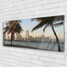 tulup.si Slika na akrilnem steklu Tropical palm mesta morje 125x50 cm 2 obešalnika