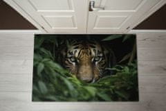 tulup.si Predpražnik za hodnik Jungle Tiger 60x40 cm