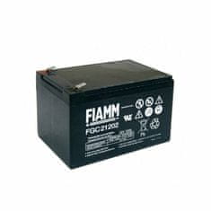 Fiamm akumulator 12V/12 Ah ciklična 6/Z8009C