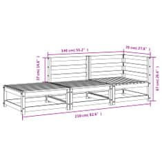 Vidaxl Vrtni kavč s stolčkom za noge dvosed trden les douglas