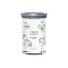 Yankee Candle Aroma sveča Signature tumbler velika Baby Powder 567 g