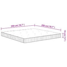 Vidaxl Vzmetnica z žepkastim vzmetenjem srednja 200x200 cm