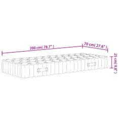 Vidaxl Vzmetnica z žepkastim vzmetenjem srednje trda 70x200 cm