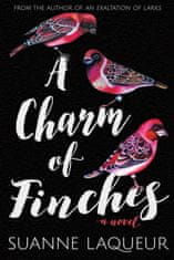 Charm of Finches