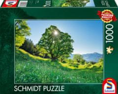 Schmidt Puzzle Sycamore 1000 kosov