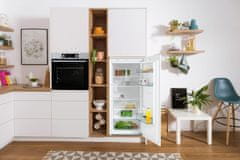 Gorenje RI412EE1 vgradni hladilnik