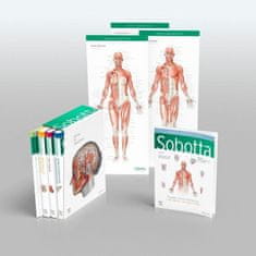 Sobotta Atlas of Anatomy, Package, 17th ed., English/Latin