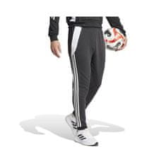 Adidas Hlače obutev za trening črna 176 - 181 cm/L Tiro 24