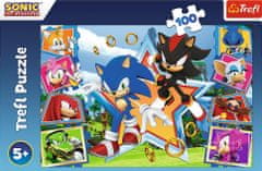 Trefl Puzzle Sonic: Meet the hedgehog 100 kosov