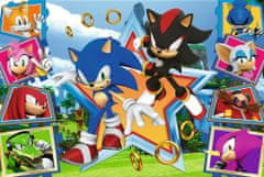 Trefl Puzzle Sonic: Meet the hedgehog 100 kosov