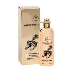 Montale Paris Arabians 100 ml parfumska voda unisex