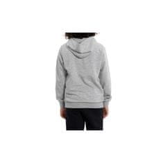 Champion Športni pulover 156 - 167 cm/XL Hooded Sweatshirt