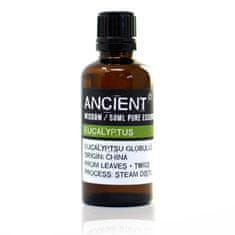 Ancient Wisdom Eterično olje evkaliptusa 50 ml