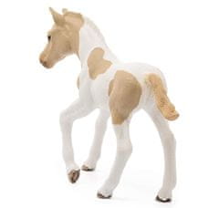 sarcia.eu SLH13886 Schleich Horse Club - Konjsko žrebe pasme Paint, konjska figura za otroke od 5. leta naprej