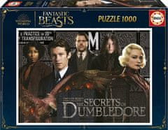 Educa Puzzle Fantastic Beasts: Dumbledore's Secret 1000 kosov