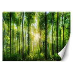 shumee Stenska poslikava, Sončni žarki v zelenem gozdu - 150x105