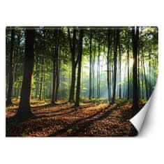 shumee Stenska poslikava Jutranji gozd drevesa narava - 150x105