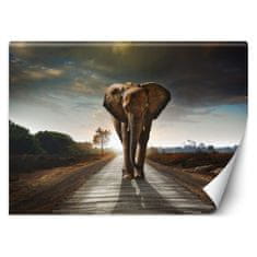shumee Stenska poslikava, Potepujoči slon - 150x105