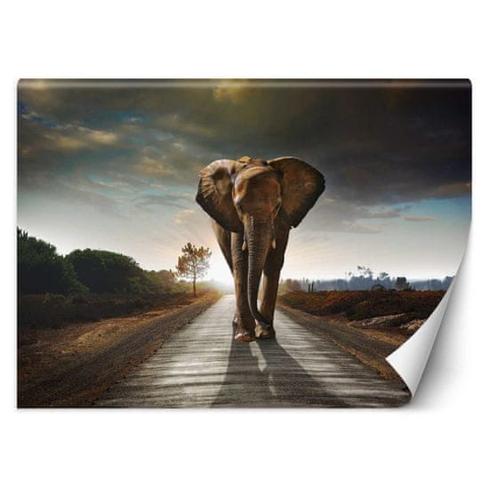 shumee Stenska poslikava, Potepujoči slon - 100x70