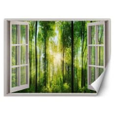 shumee Stenska poslikava, Pogled iz okna s sončnimi žarki - 140x100