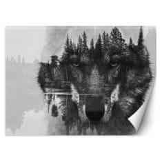 shumee Stenska poslikava, Gozdni volk v megli - 150x105