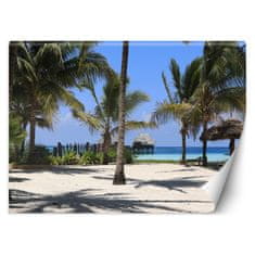 shumee Stenska poslikava, Palme, rajska plaža - 150x105