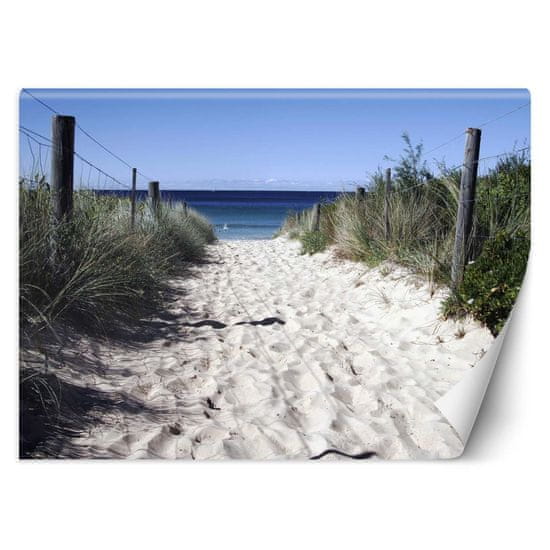 shumee Stenska poslikava Cesta do plaže pesek sipin - 100x70