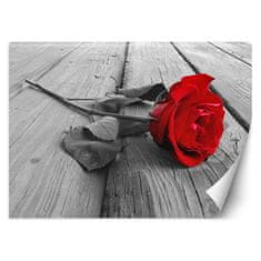 shumee Stenska poslikava Rdeča vrtnica na pomolu - 100x70