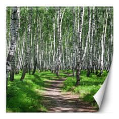 shumee Stenska poslikava Brezov gozd in gozdna pot - 100x100