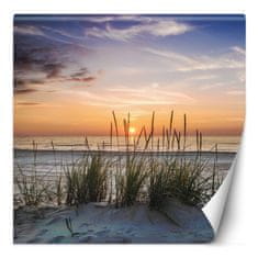 shumee Stenska poslikava, Sončni zahod na plaži - 100x100