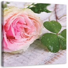 shumee Slika na platnu, Rose cvetje narava - 50x50