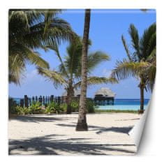 shumee Stenska poslikava, tropska plaža palme narava - 100x100