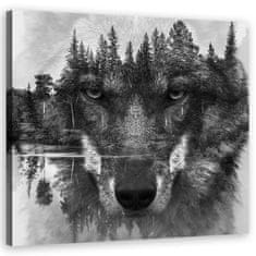 shumee Slika na platnu, abstrakcija Črni volk - 50x50