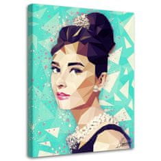 shumee Slika na platnu, Audrey Hepburn s figo - Cantu - 60x90