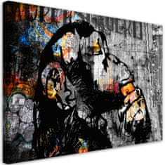 shumee Slika na platnu, Street art Banksy monkey abstraction - 100x70