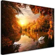 shumee Slika na platnu Labod na ribniku jeseni - 60x40