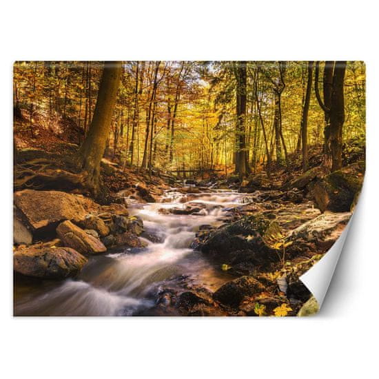 shumee Stenska poslikava, Gozdni potok v jeseni - 100x70