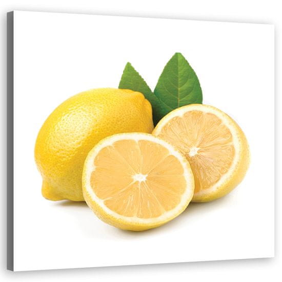 shumee Slika na platnu, plod limone - 50x50