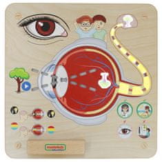 Masterkidz Montessori Senzor vida Izobraževalna tabla