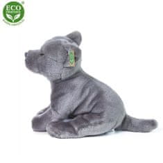 Rappa Staffordshire Bull Terrier 30 cm