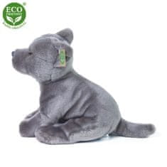 Rappa Staffordshire Bull Terrier 30 cm