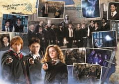 Trefl Puzzle Harry Potter: Dumbledore's Army 934 kosov