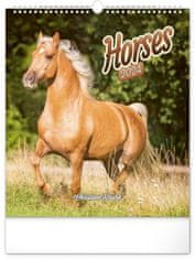 Stenski koledar 2024: Konji, 30 × 34 cm