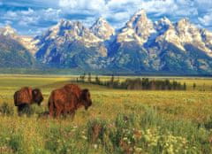 EuroGraphics Puzzle Grand Teton National Park 1000 kosov