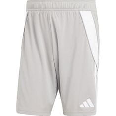 Adidas Hlače siva 176 - 181 cm/L Tiro 24