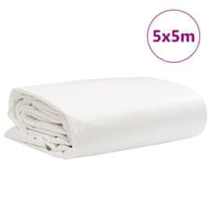 Vidaxl Ponjava bela 5x5 m 650 g/m²