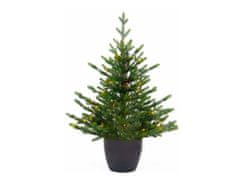 LAALU.cz Božično drevo Bernardova jelka v loncu 90 cm s SMART LED LIGHTING