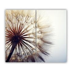 tulup.si Steklena podloga za rezanje Dandelion 60x52 cm